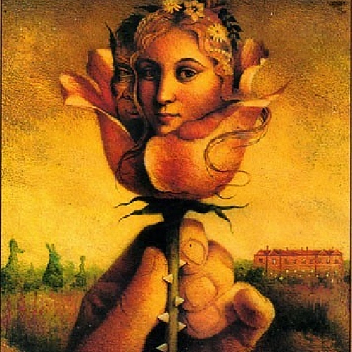 کفتر چاهی